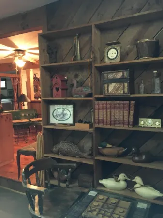 Jones Gap, Travelers Rest and Greenville, SC.  Hiking, mountain biking, fishing