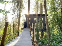 Yeti's Tree House: Where Dreams Come True