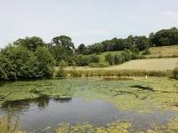 Mallard Hotels in Newnham