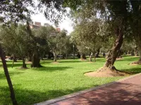 B&B 엘 올리바르