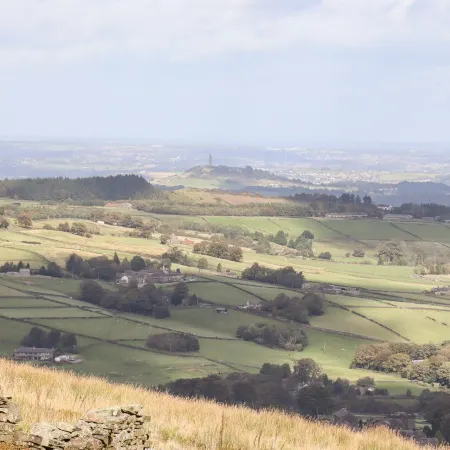 The Shearer's Hut