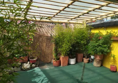 Onde Pepe Hostel Hotels in 