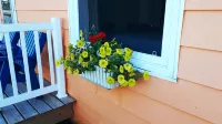 Atlantic View Motel - Ocean View