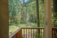 NEW - Cozy Waterfront Cabin Nestled in the Forest - King beds / AC / Fast Wi-fi