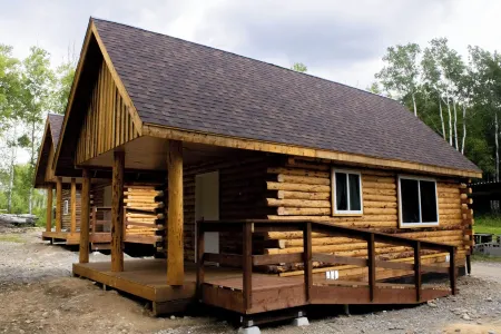 Charming Cabin Near Hatcher Pass