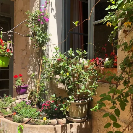 Hôtel du Musée