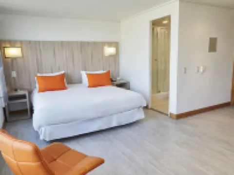 Hotel Terrado Lyon Hotels near Sky Costanera