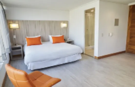 Hotel Terrado Lyon Hotel a 