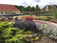 Birkende Bed and Breakfast Hotels near Amanda