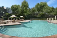 Hilton Atlanta Airport - Pool