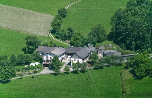 寶輪豪夫維拉酒店