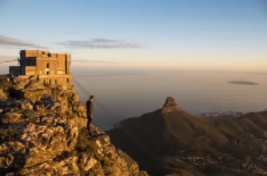 Curiocity Green Point