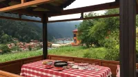 Zeren Pansiyon Hotels in Caykara