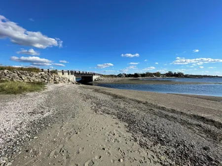 Fogland Beach Cottage. Pets welcome!