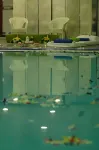 The Convention Center & Royal Suites Hotel - 5-Star