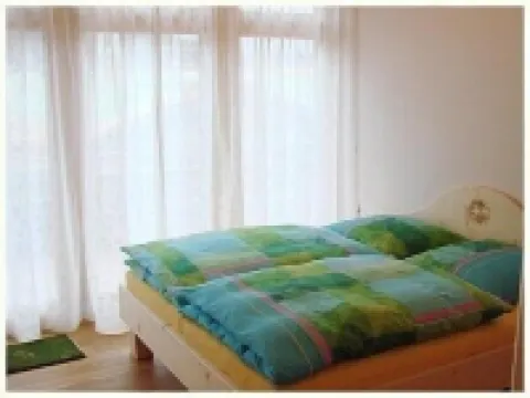 Very quiet roof holiday apartment, vast ski resort very close 克洛斯特斯酒店