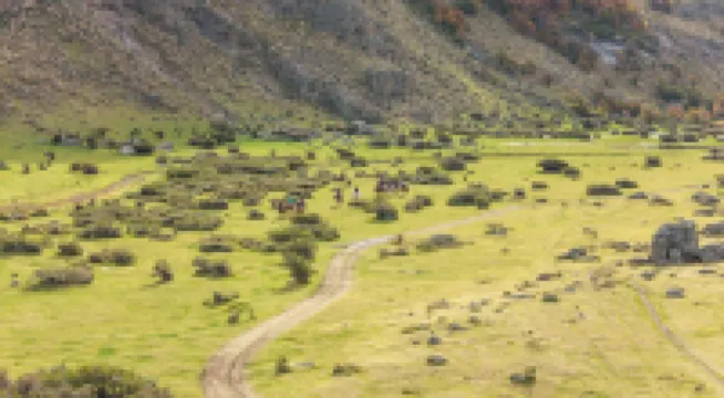 Bonanza Glamp Nature Experience