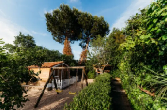 Quinta de S. Miguel 'Casa do Forno' Hotels in 