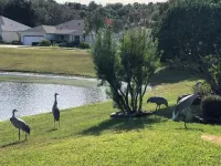 Lakeview Designer Home in Valle Verde Village