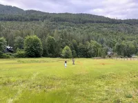 Camping cabin in gorgeous Dosewallips Valley with AC and WiFi - Hytter