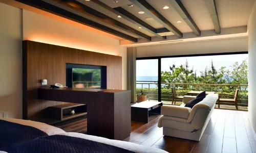 타이칸소우 세나미노유