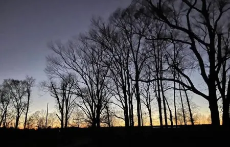 Located 3 miles to Grenada Lake