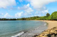 Studio California Tartane