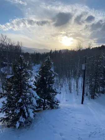 Peaceful 2-bedroom apartment - dogs welcome