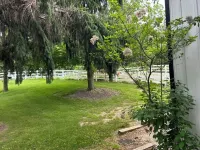 Secluded studio getaway- only 4 miles from Downtown Iowa City فنادق في 