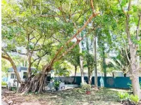 Coco Beach Dome Hotel a 