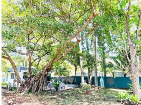 Coco Beach Dome Отели рядом с достопримечательностью «Decameron»