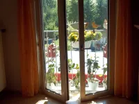 Curr. M.Flair, quiet location, grGarten directly to Forest / Grassland, gr. Lake at 2km,