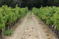 Casa dos Caseiros - Door 4 Hotels in Belmonte