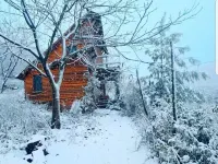 Boho eco cabin in the woods on Fruška gora فنادق في 
