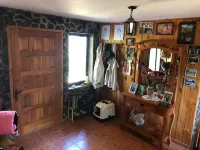 Connect with the Chilean native forest