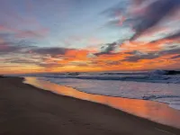 Mobilhome et Terrasse au Coeur de la Foret des Landes Dans un Parc Residentiel