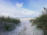 "Enken" - 750m from the sea