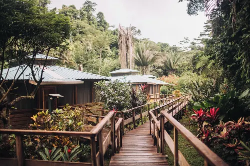 Jaguar Creek Hotels in Belmopan