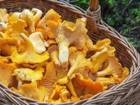 4 person holiday home in LJUSDAL-By Traum Hotels in Ljusdal