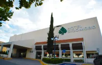 Hotel Sicomoro Hotel a Chihuahua