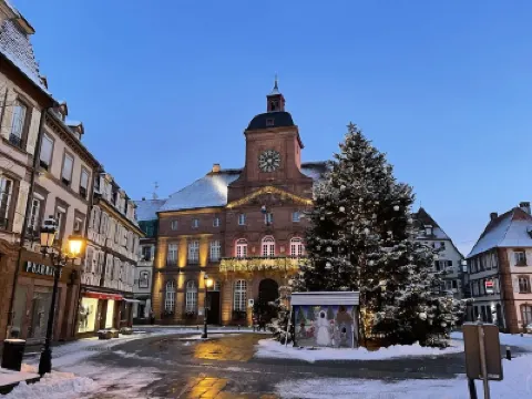 Villa 1907 Wissembourg Hotels in 