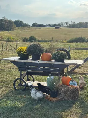 Glamping Tent at Noble Pine Campground