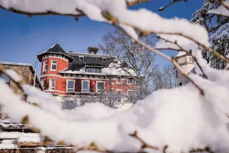 Sleeping Beauty Loft