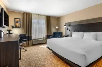 Comfort Inn & Suites North Dallas-Addison Hotels in Farmers Branch