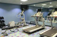 Holiday Inn ROCK SPRINGS by IHG - Gym