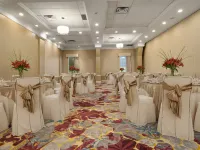 Holiday Inn CONFERENCE CTR EDMONTON SOUTH by IHG - breakfast