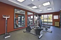 Holiday Inn Express & Suites SPRINGFIELD - DAYTON AREA by IHG - Phòng tập thể hình