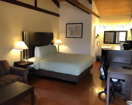 Lombard Plaza Motel Hotels in San Francisco