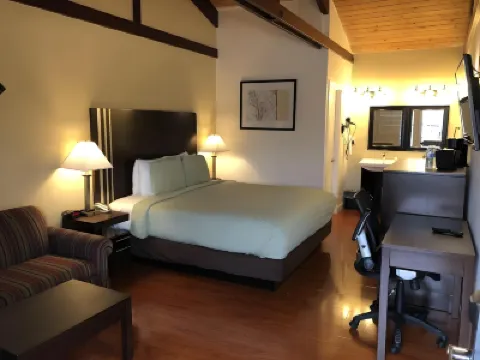 Lombard Plaza Motel Hotels near Golden Gate Bridge