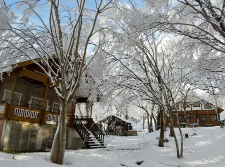 Dandanmura Отели в г. Манива